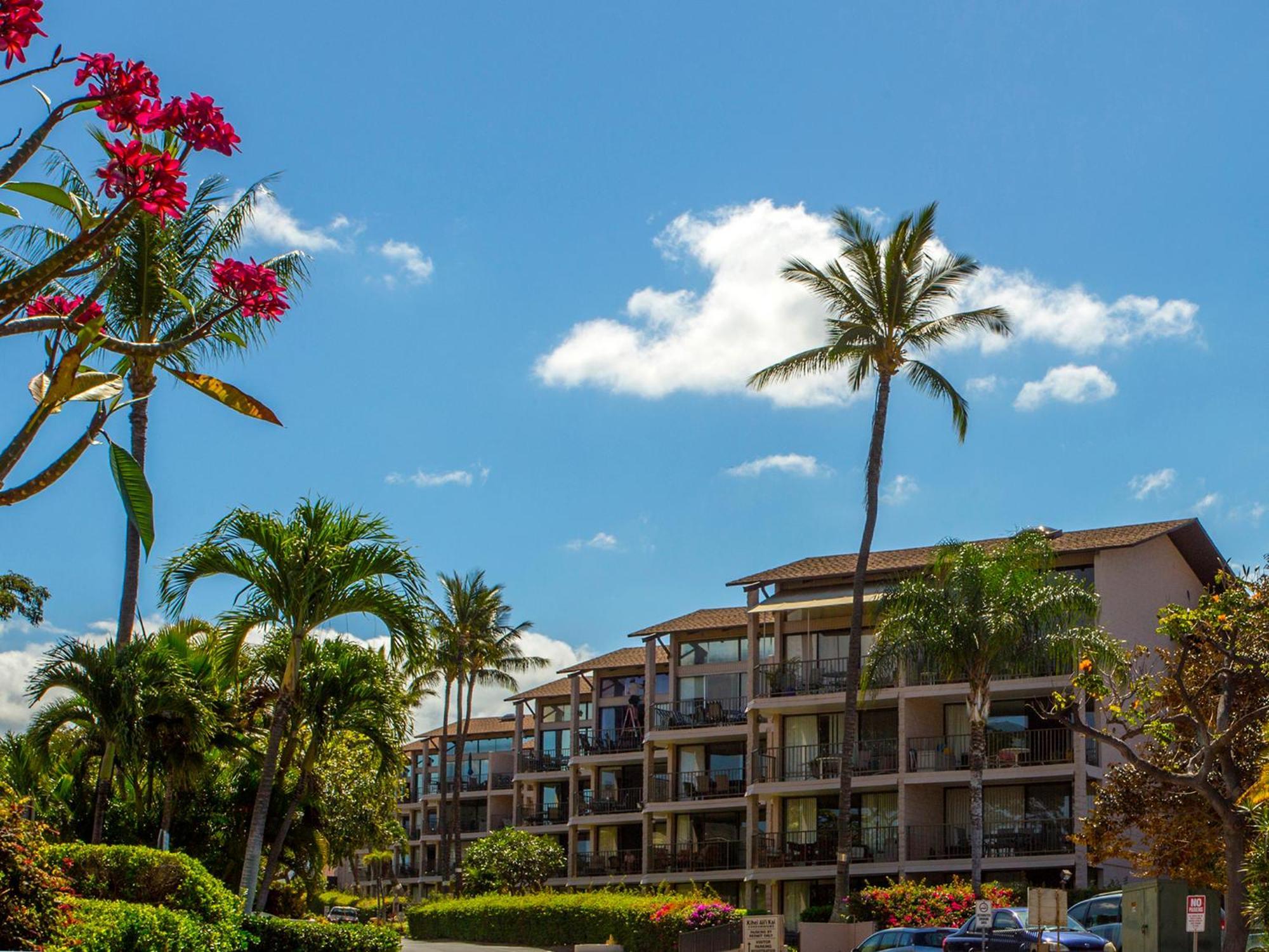 Ocean View Unit At Kihei Alii Kai Close To Beach Екстер'єр фото